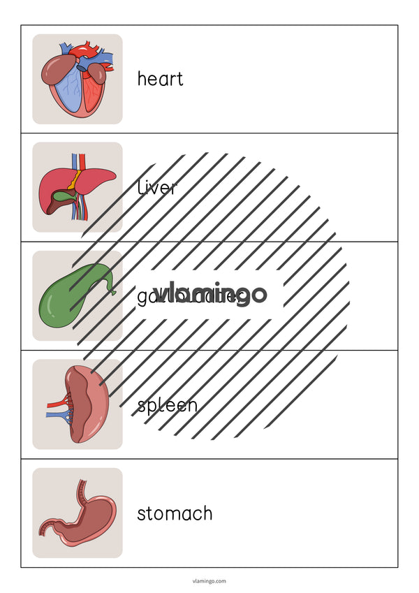 de englisch organs running dictation 004