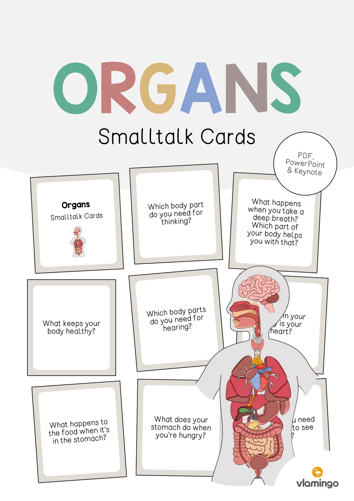 de englisch organs smalltalk cards 001