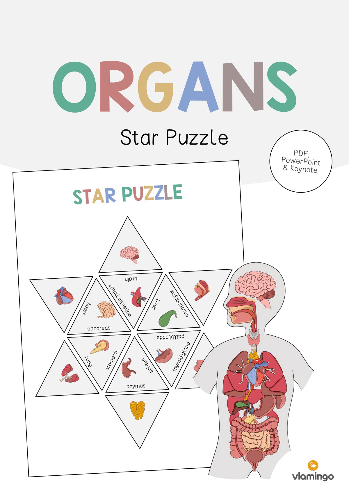 de englisch organs star puzzle 001