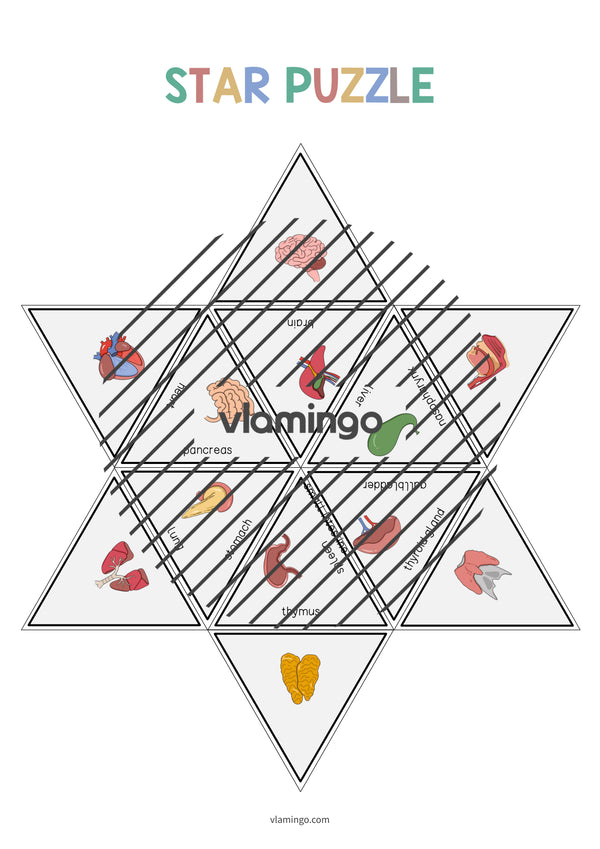 de englisch organs star puzzle 006