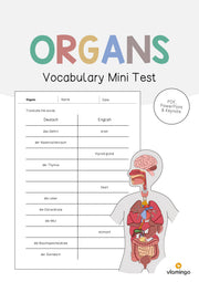 de englisch organs vocabulary mini test 001