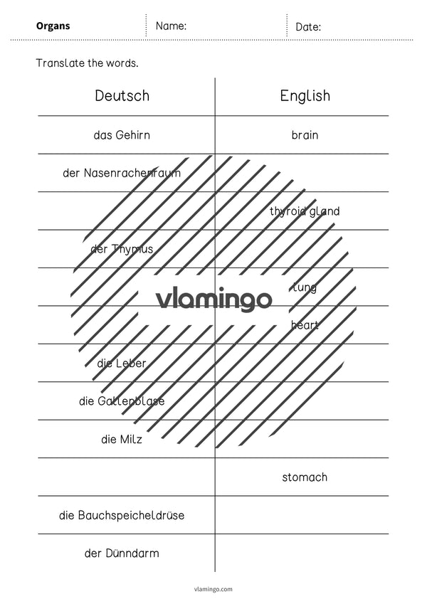 de englisch organs vocabulary mini test 003