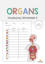 de englisch organs vocabulary worksheet 3 001