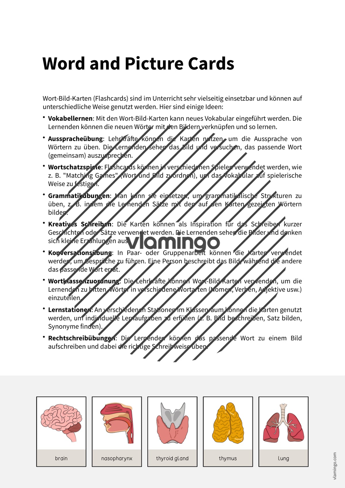 de englisch organs word and picture cards 002