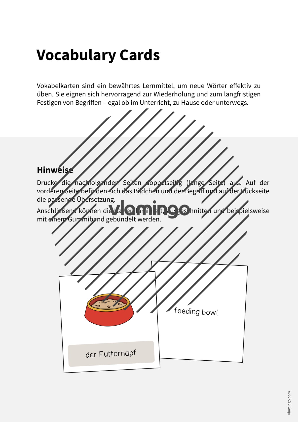 de englisch pet shop vocabulary cards 002