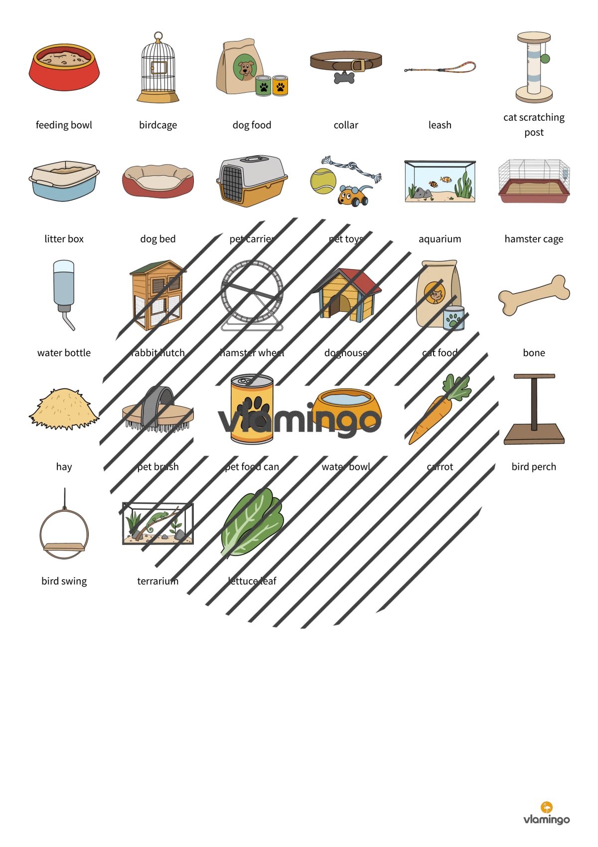 de englisch pet shop vocabulary fitness 003