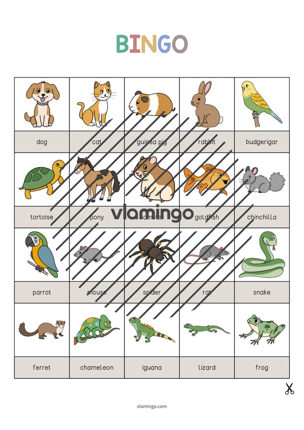 de englisch pets bingo 003