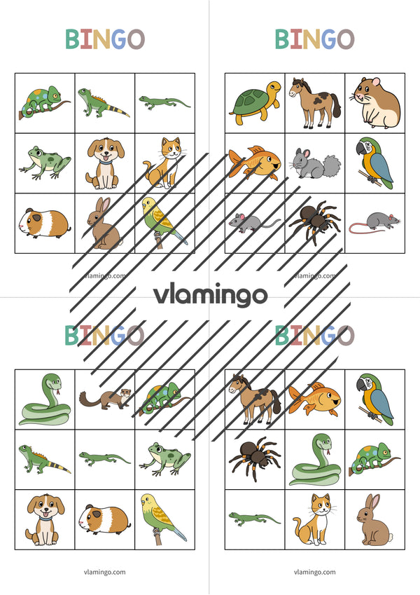 de englisch pets bingo 006