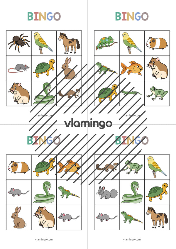 de englisch pets bingo 008