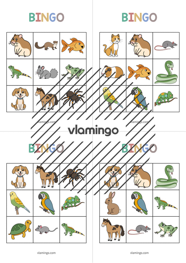 de englisch pets bingo 009