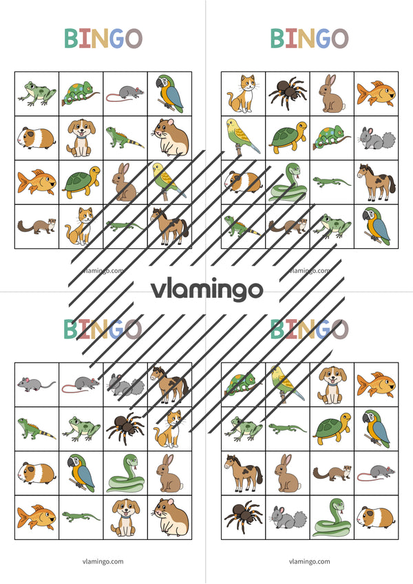 de englisch pets bingo 014