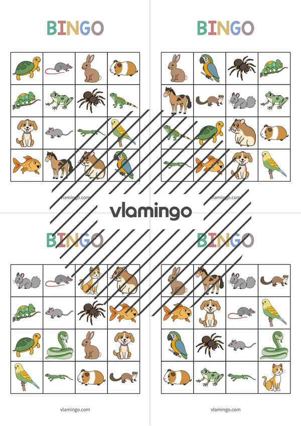 de englisch pets bingo 016