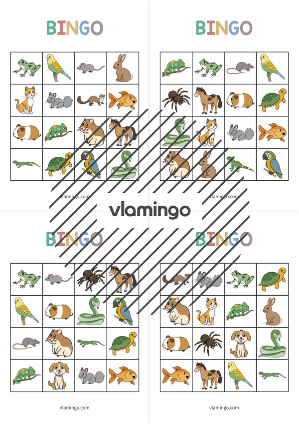 de englisch pets bingo 018
