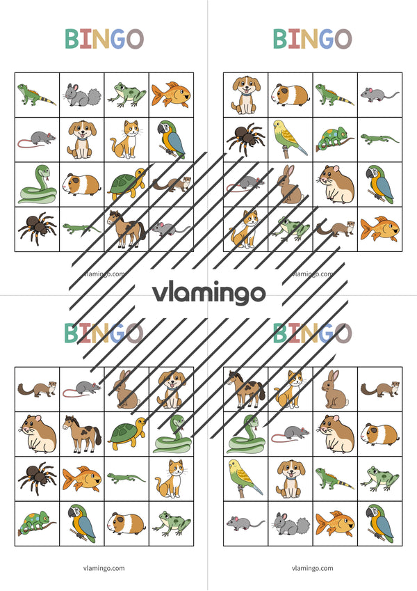 de englisch pets bingo 019
