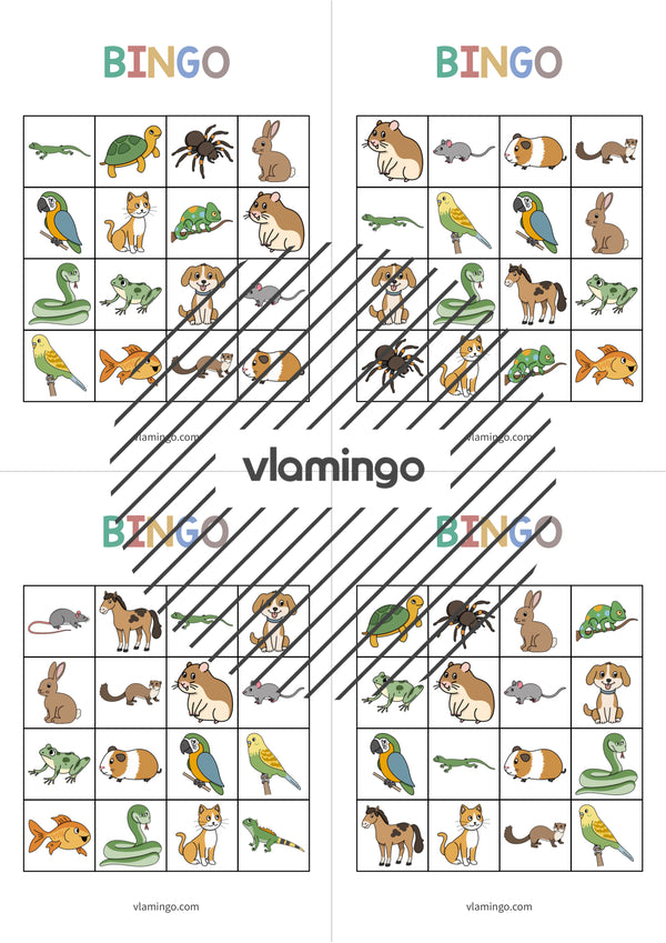 de englisch pets bingo 021