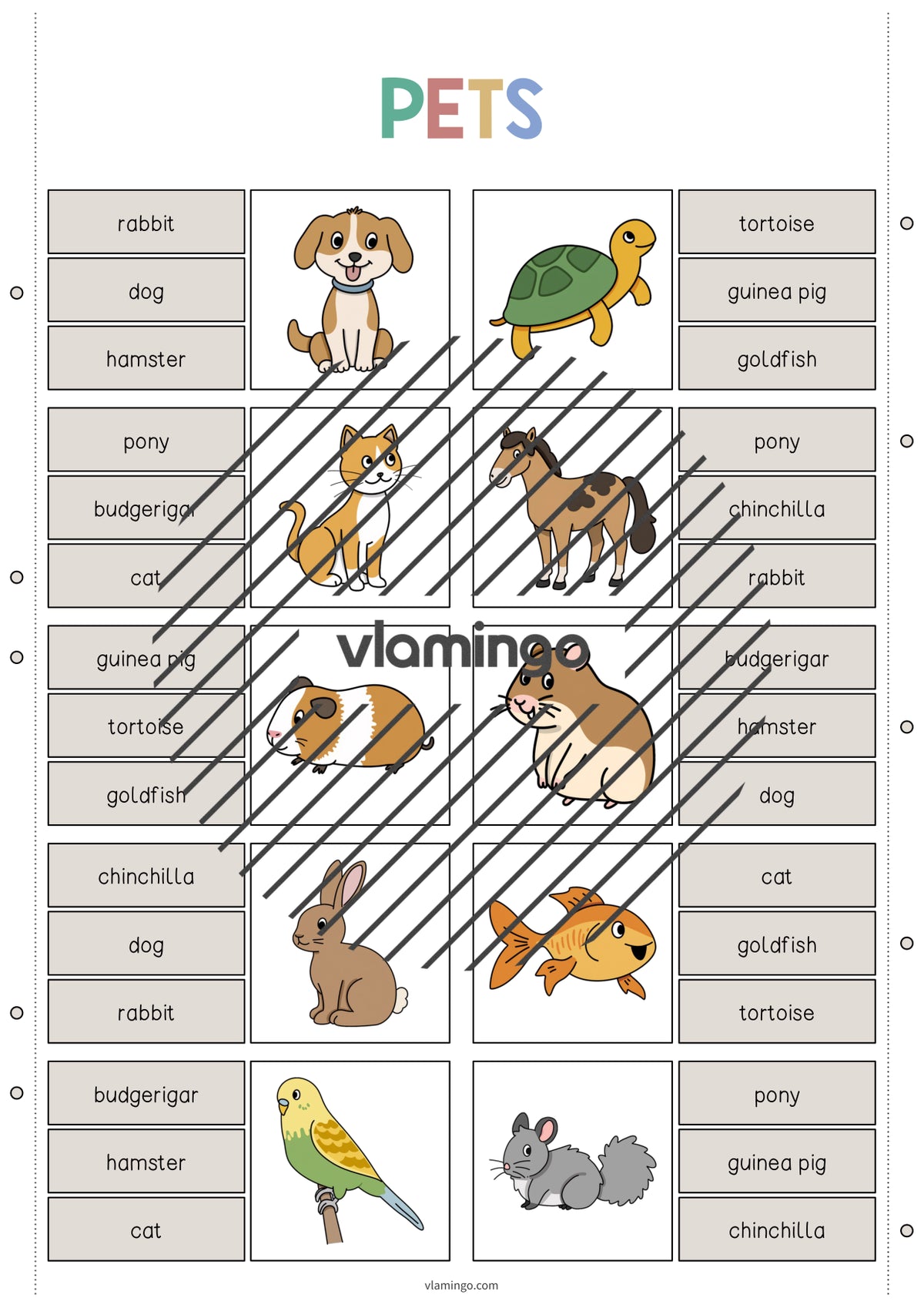 de englisch pets clip cards 003
