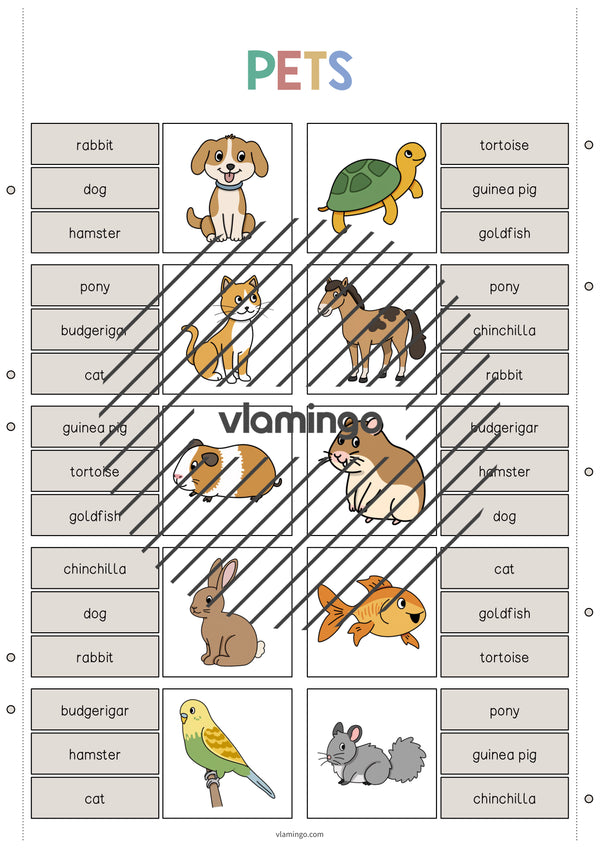 de englisch pets clip cards 003