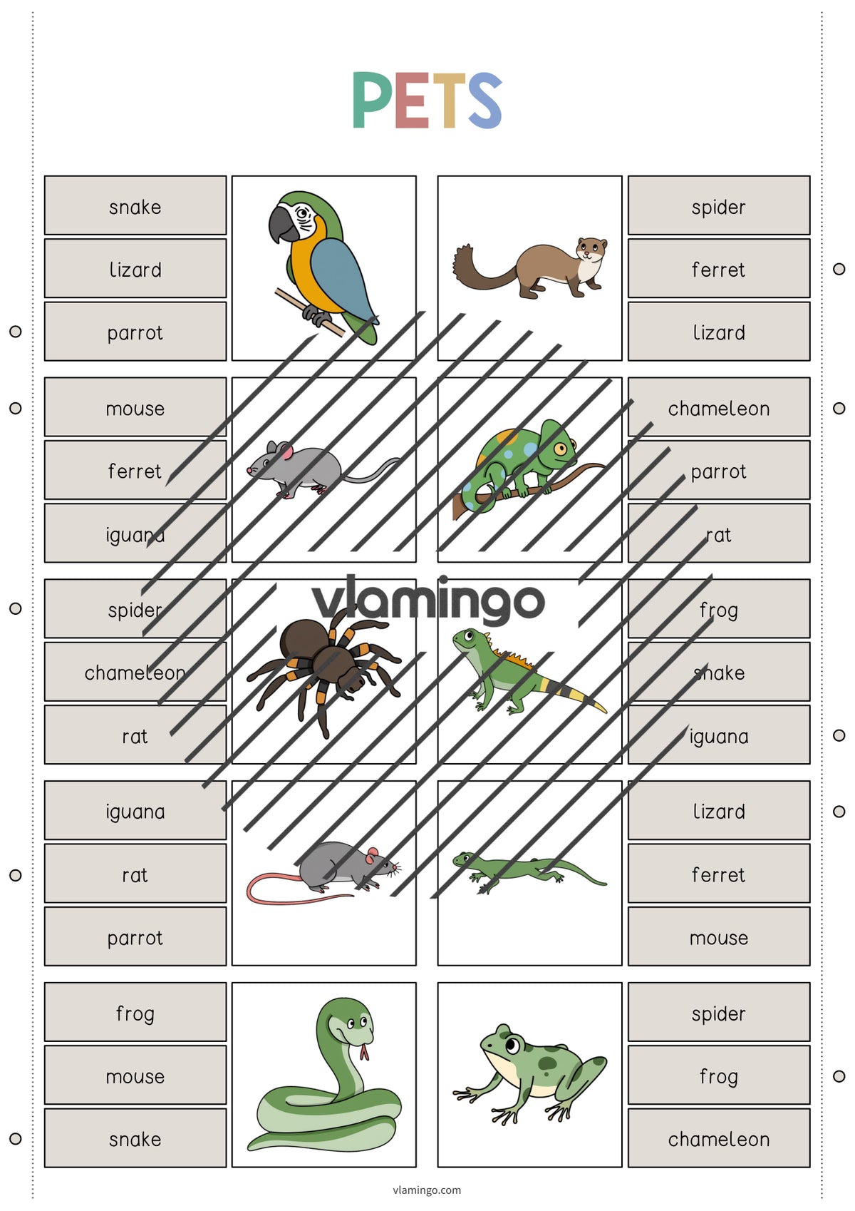 de englisch pets clip cards 004
