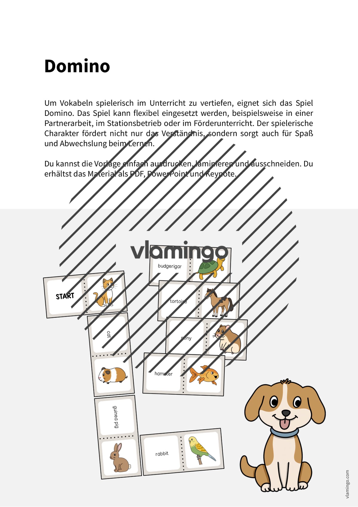 de englisch pets domino 002