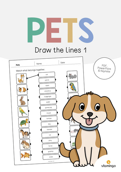 Pets / Haustiere: Draw the lines 1 (Englisch)