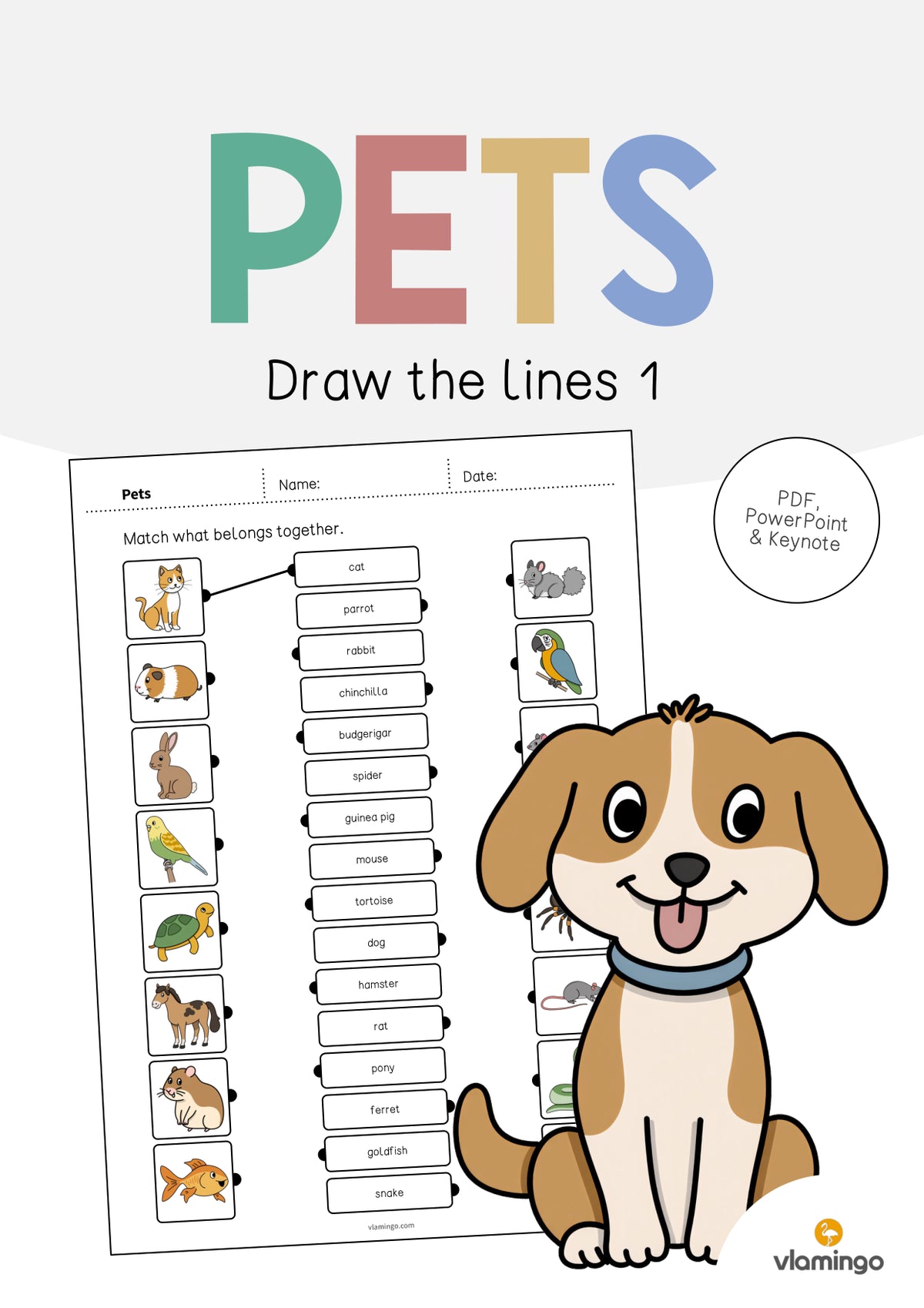 de englisch pets draw the lines 1 001