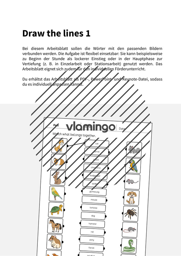 de englisch pets draw the lines 1 002