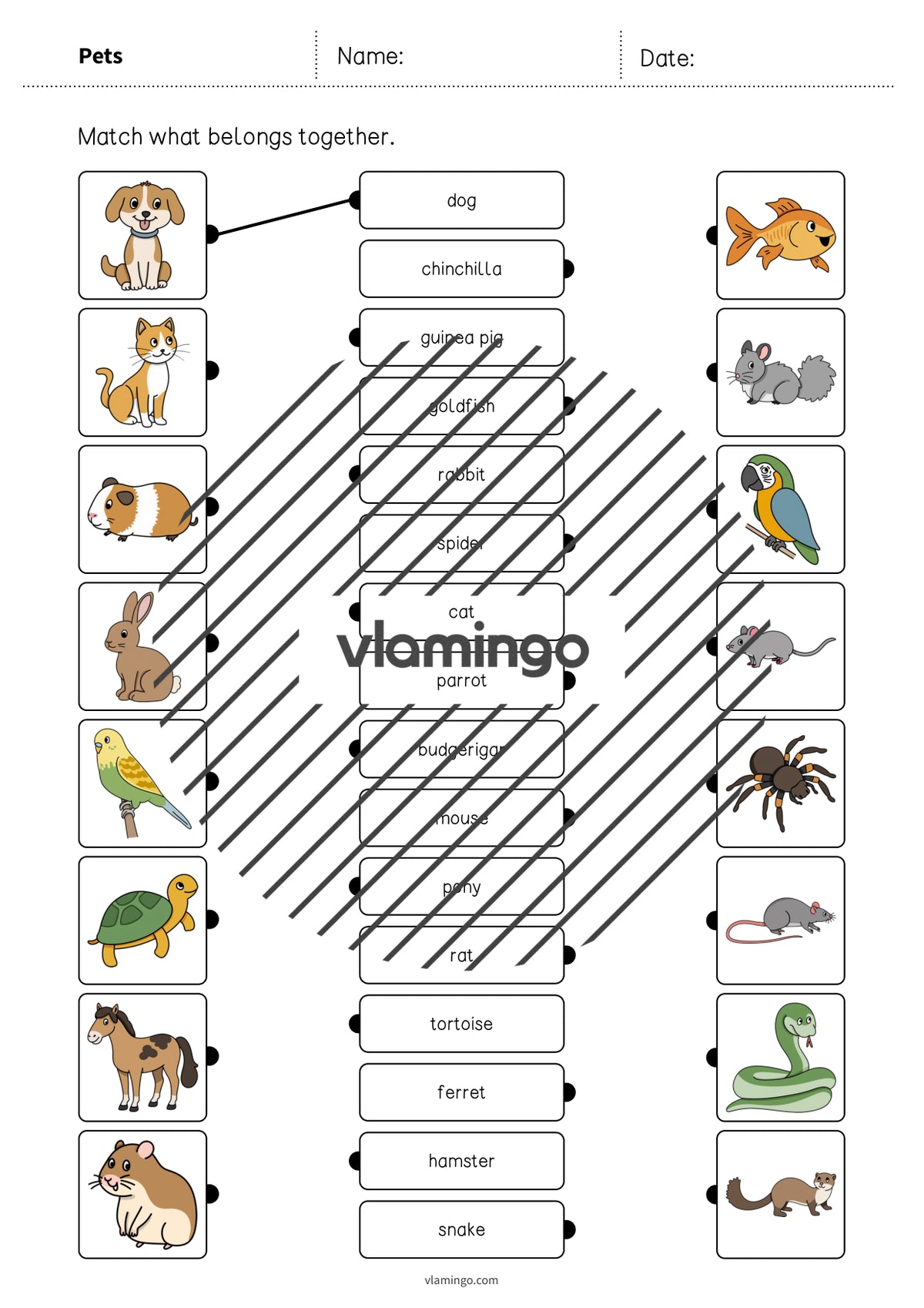 de englisch pets draw the lines 1 003