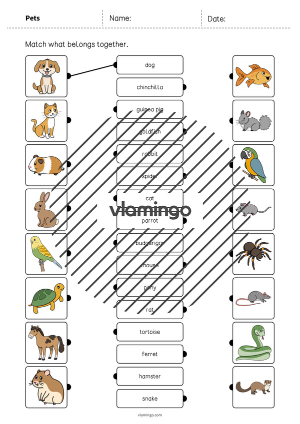 de englisch pets draw the lines 1 003