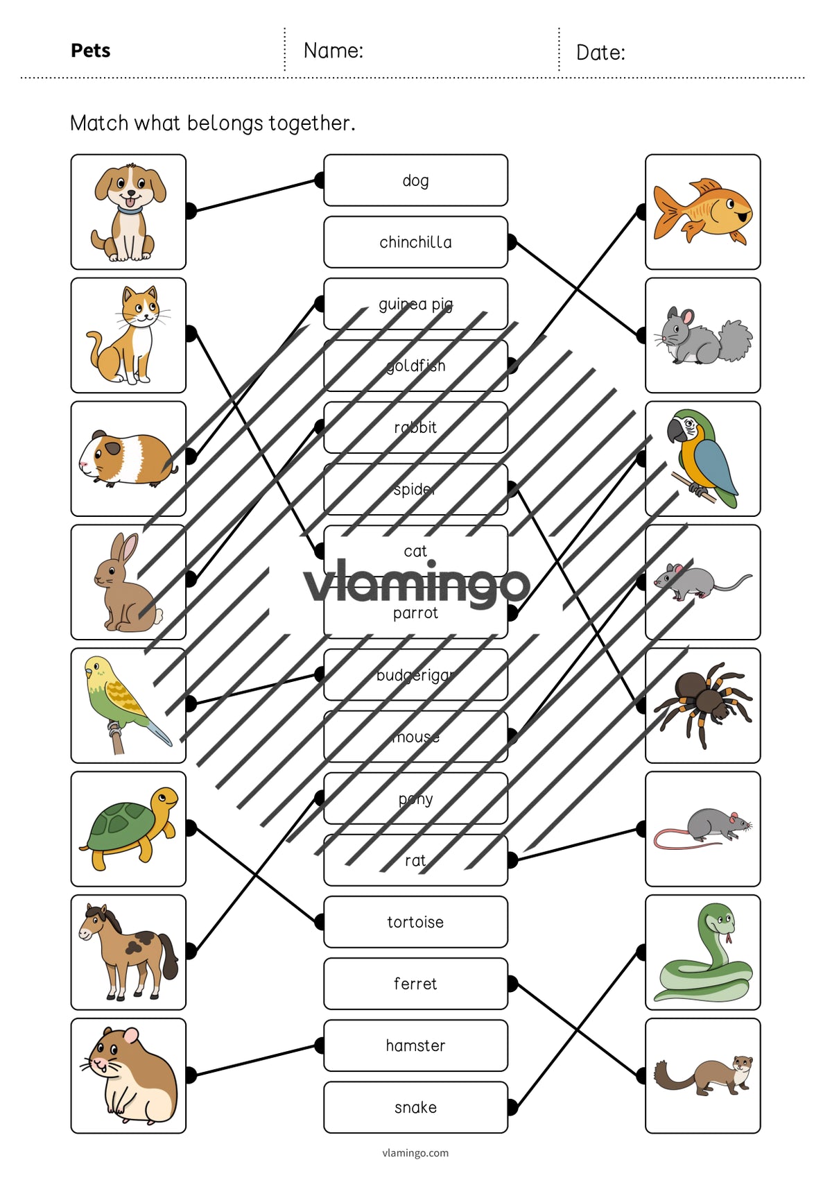 de englisch pets draw the lines 1 005
