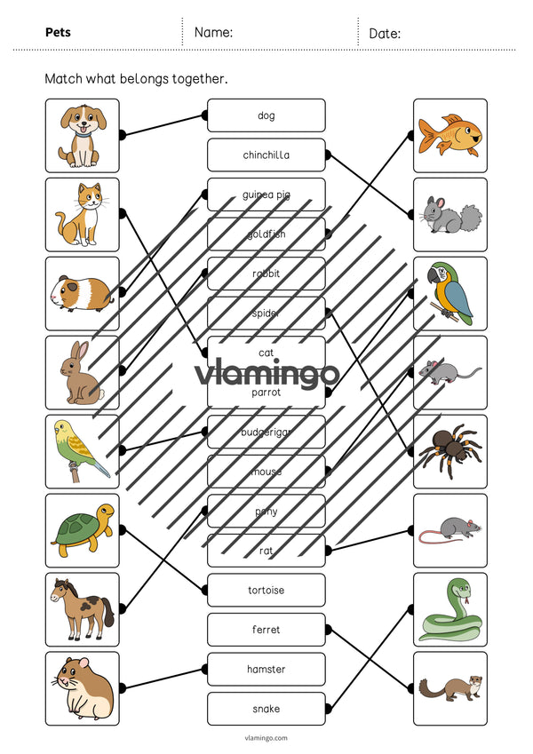 de englisch pets draw the lines 1 005