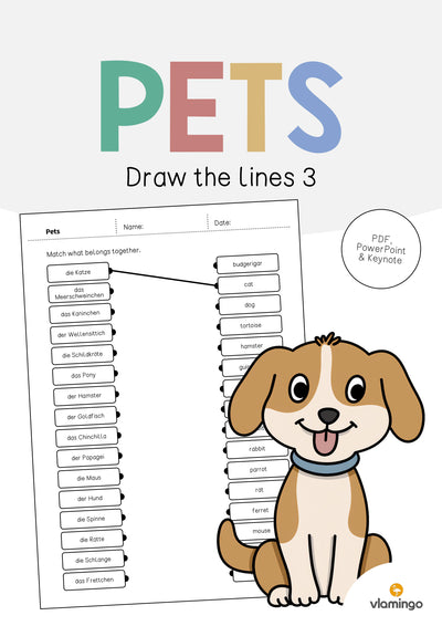 Pets / Haustiere: Draw the lines 3 (Englisch)