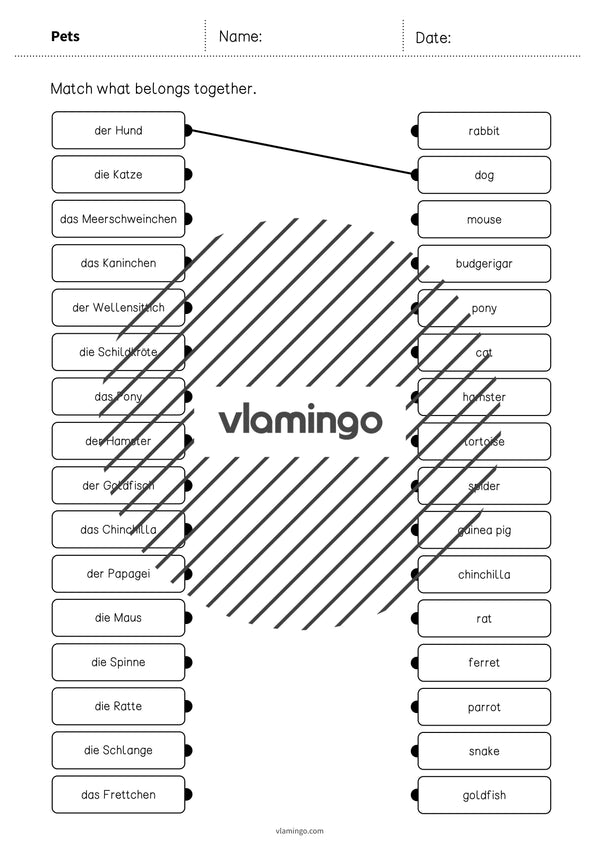 de englisch pets draw the lines 3 003