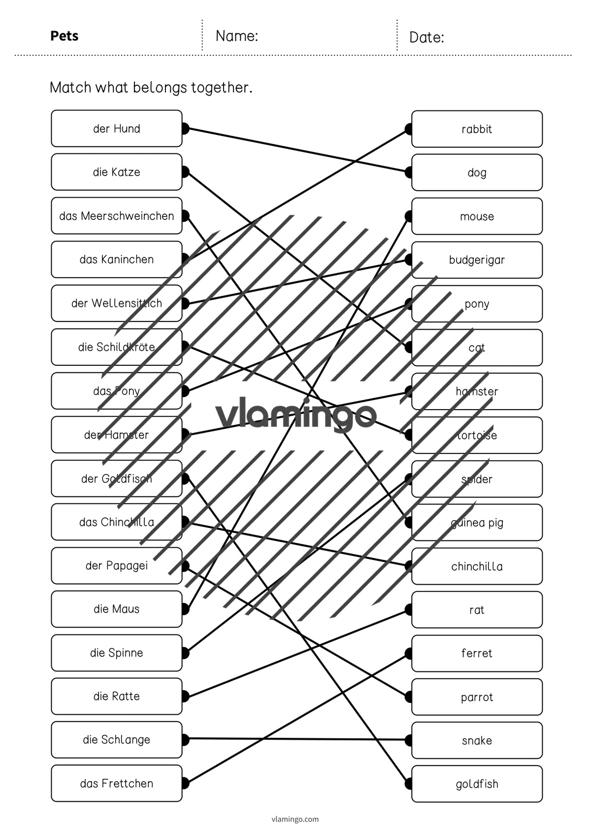 de englisch pets draw the lines 3 005