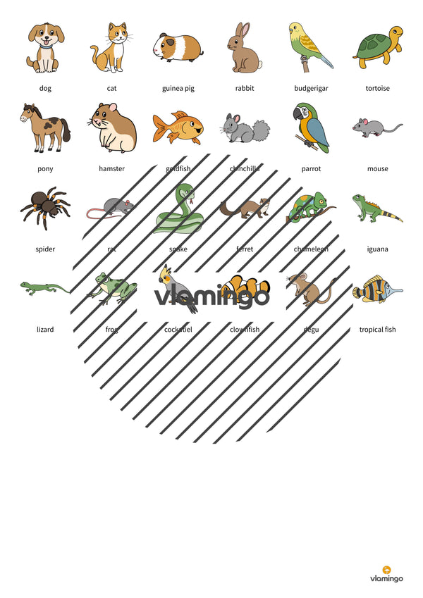 de englisch pets floppi 006