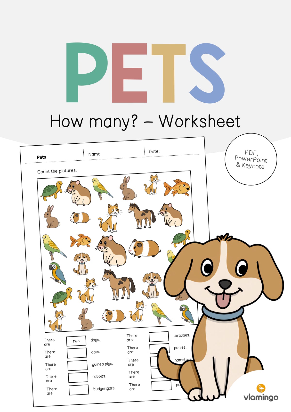 de englisch pets how many worksheet 001