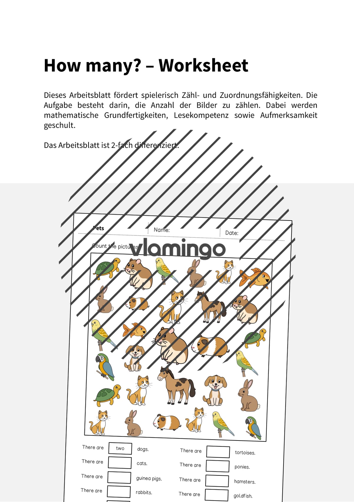 de englisch pets how many worksheet 002