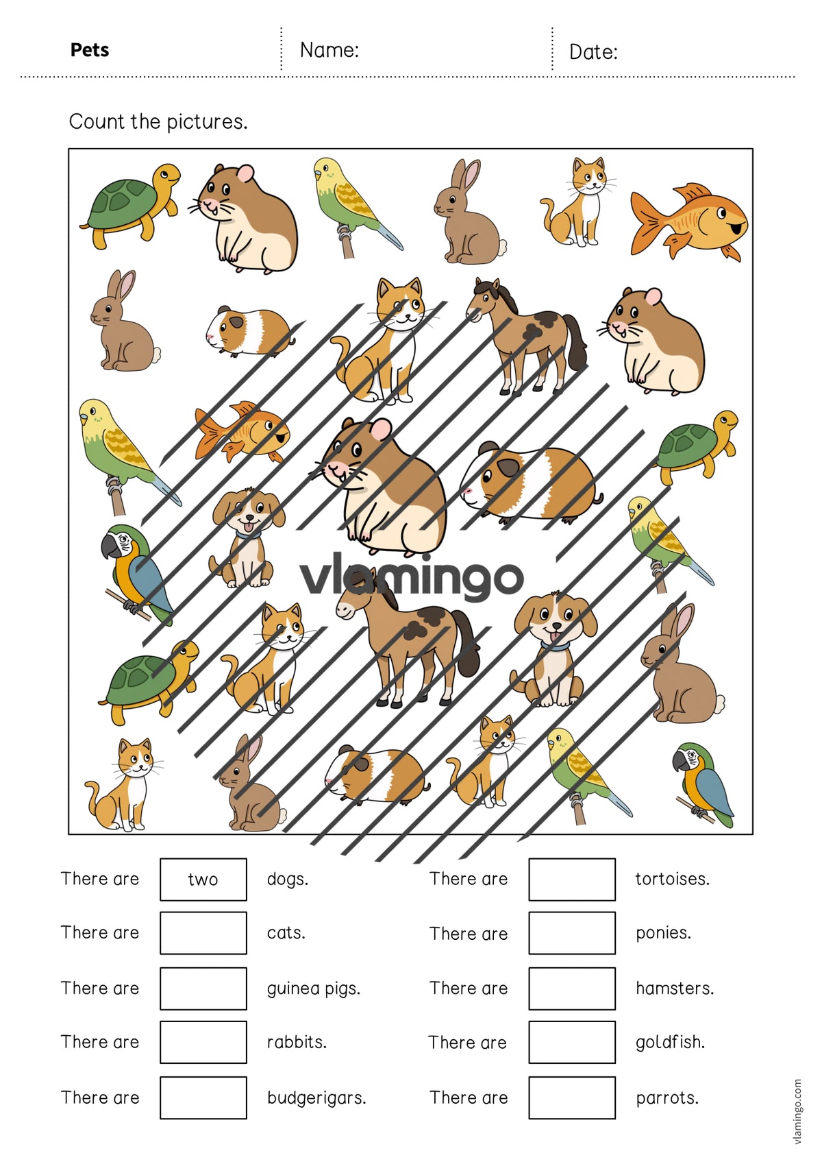 de englisch pets how many worksheet 004