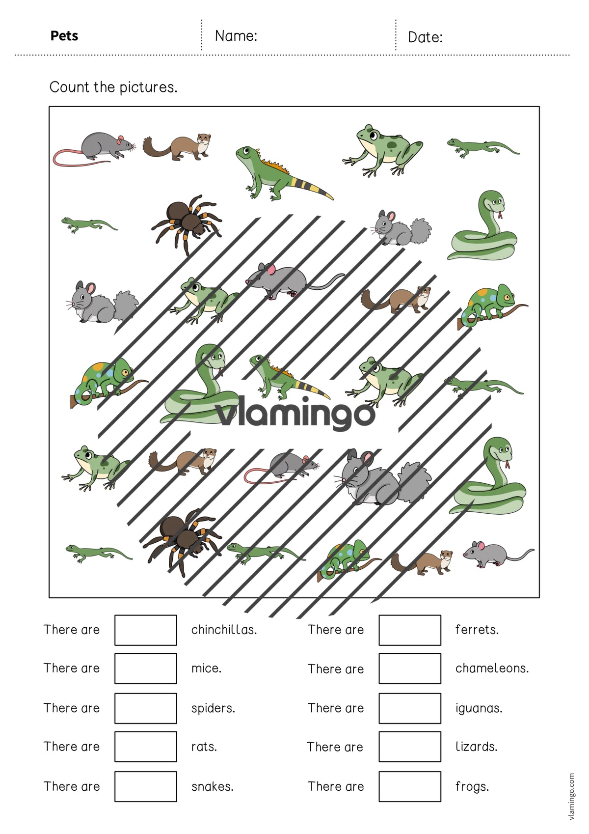 de englisch pets how many worksheet 005