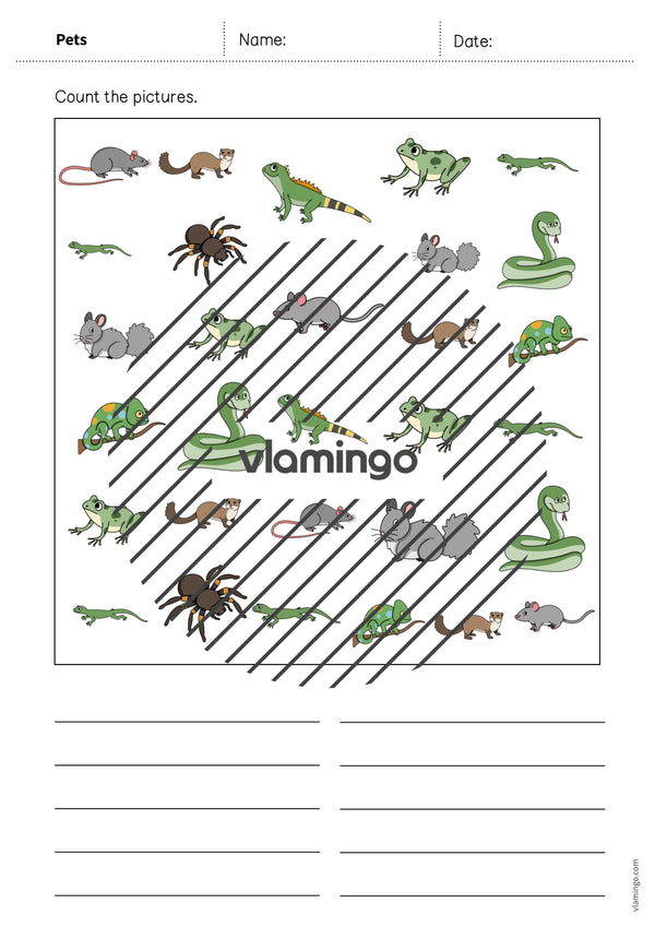 de englisch pets how many worksheet 008