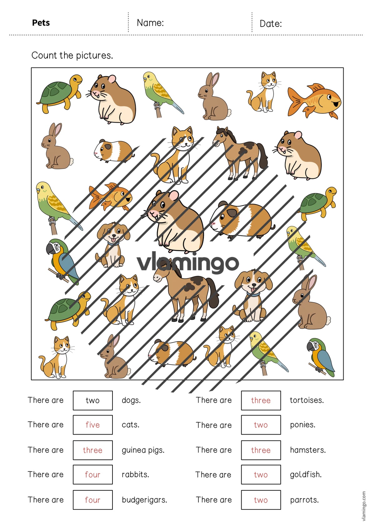 de englisch pets how many worksheet 010