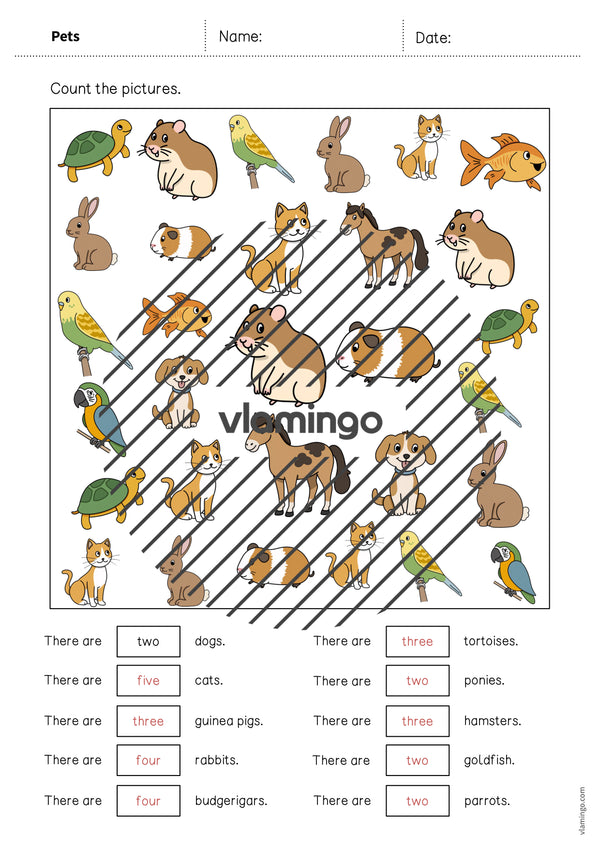de englisch pets how many worksheet 010