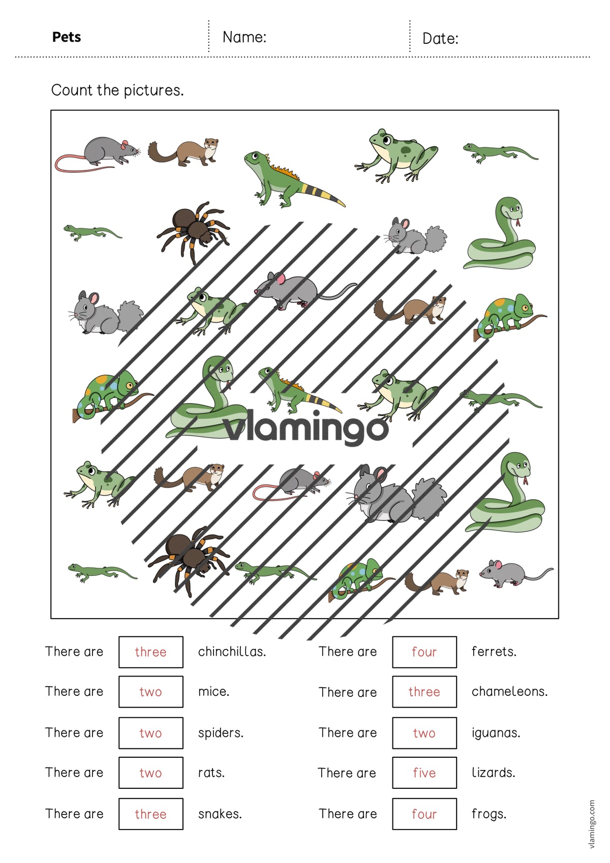 de englisch pets how many worksheet 011