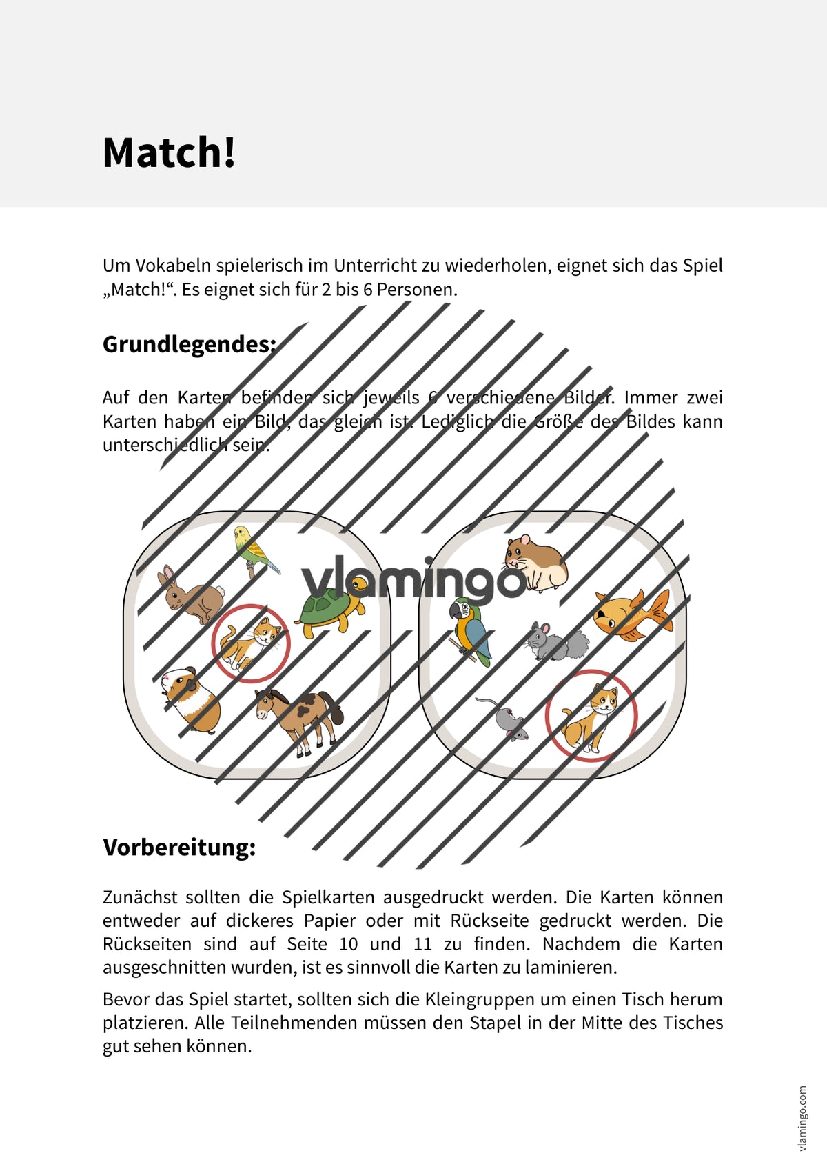 de englisch pets match 002