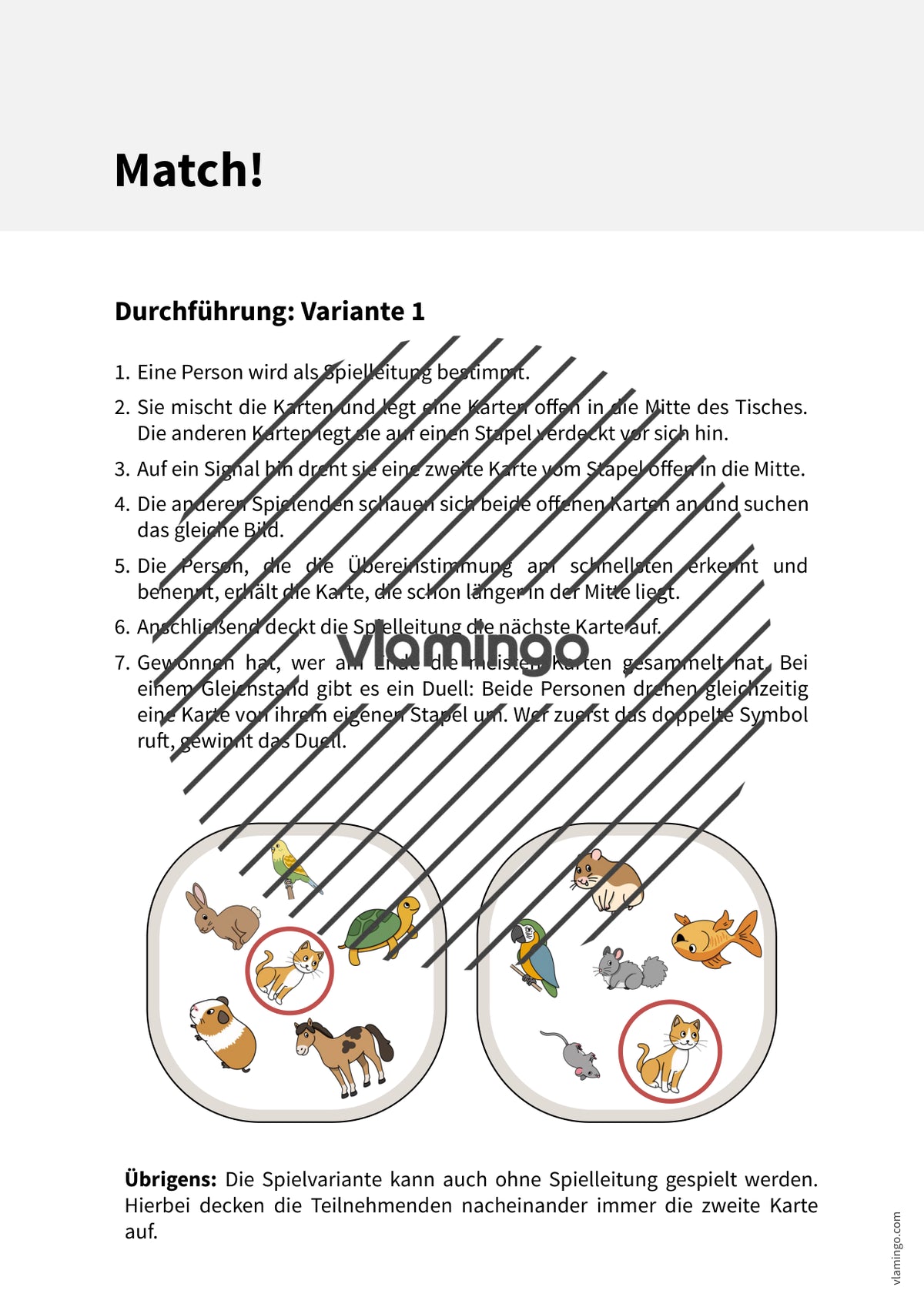 de englisch pets match 003