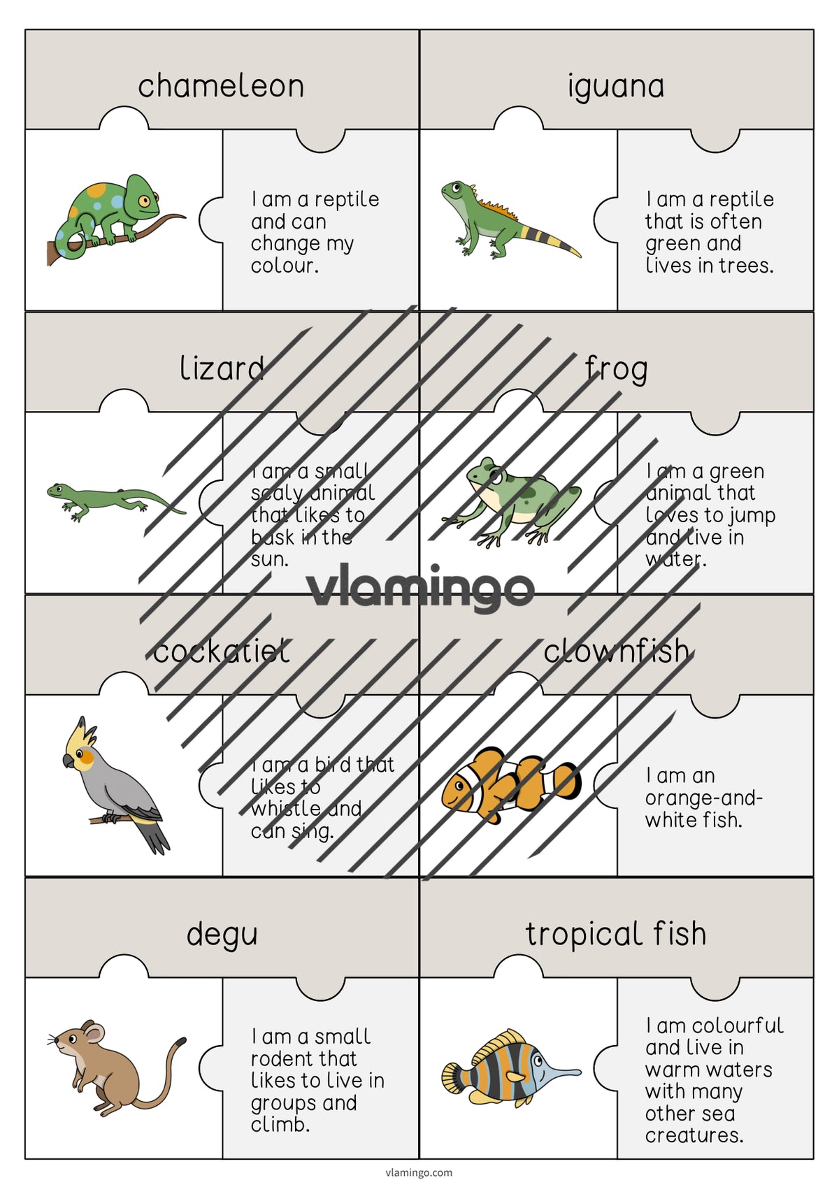 de englisch pets puzzle 005