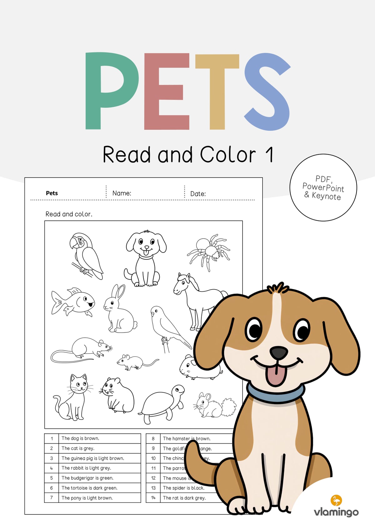 de englisch pets read and color 1 001