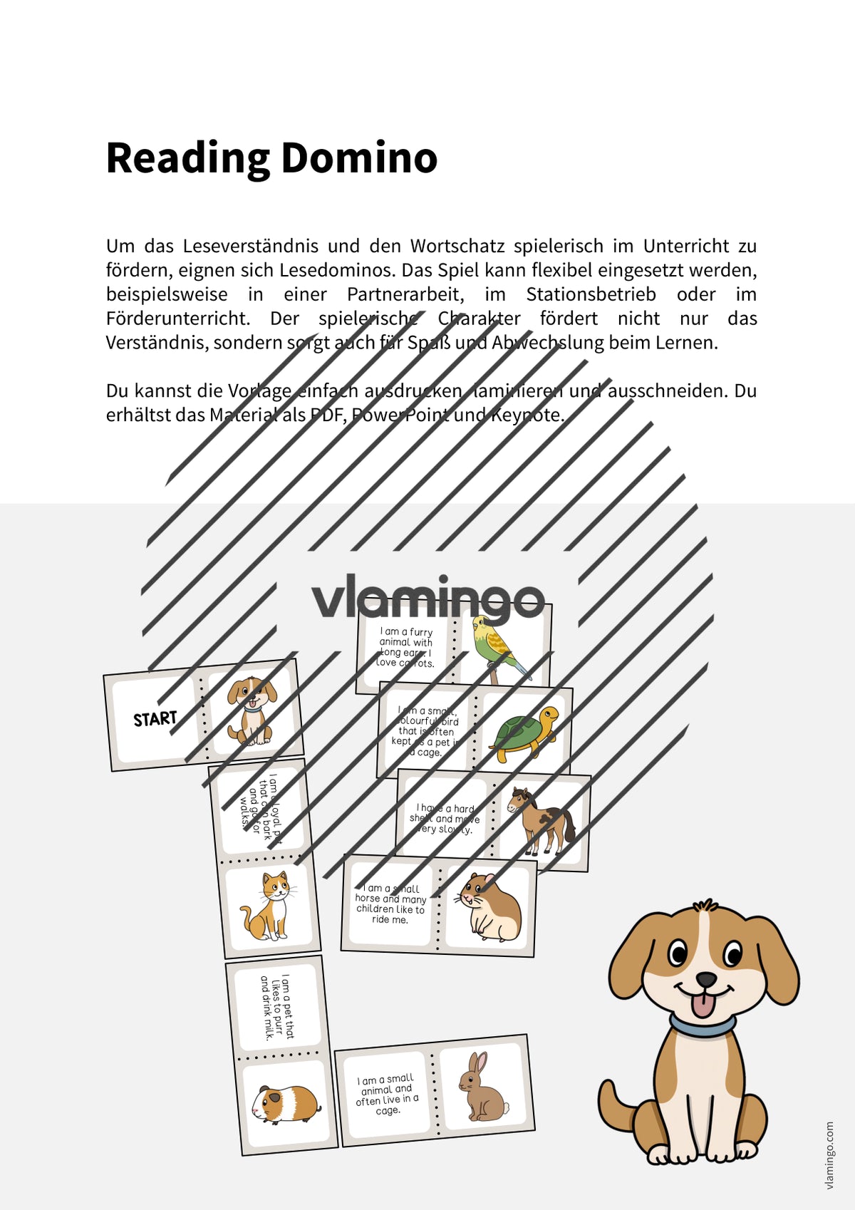 de englisch pets reading domino 002