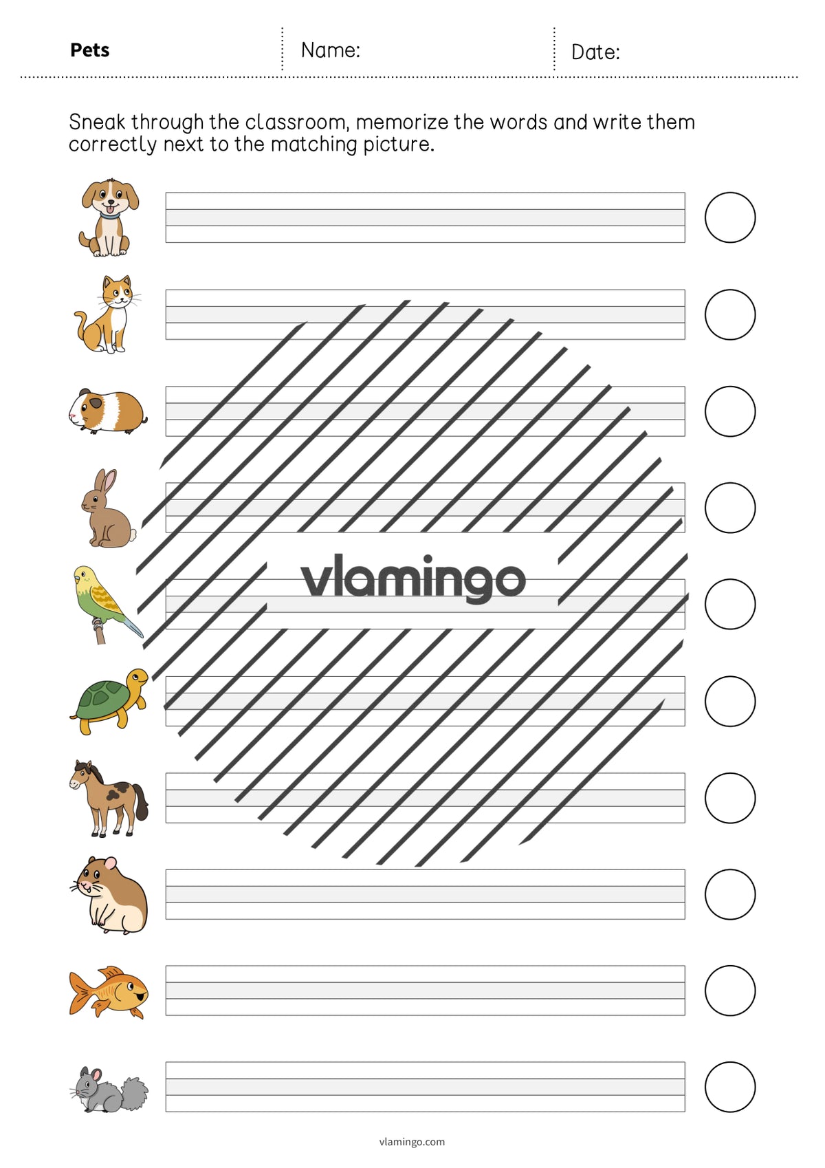 de englisch pets running dictation 007