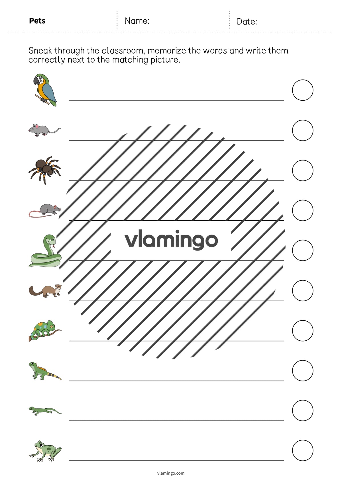 de englisch pets running dictation 010