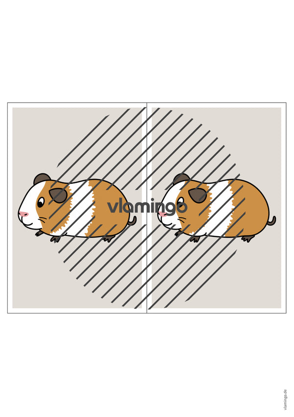 de englisch pets station signs 005